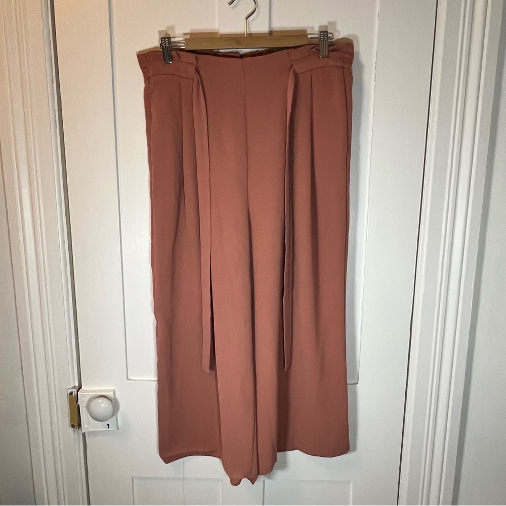 Zara Women's Blush Wide-Leg Pants